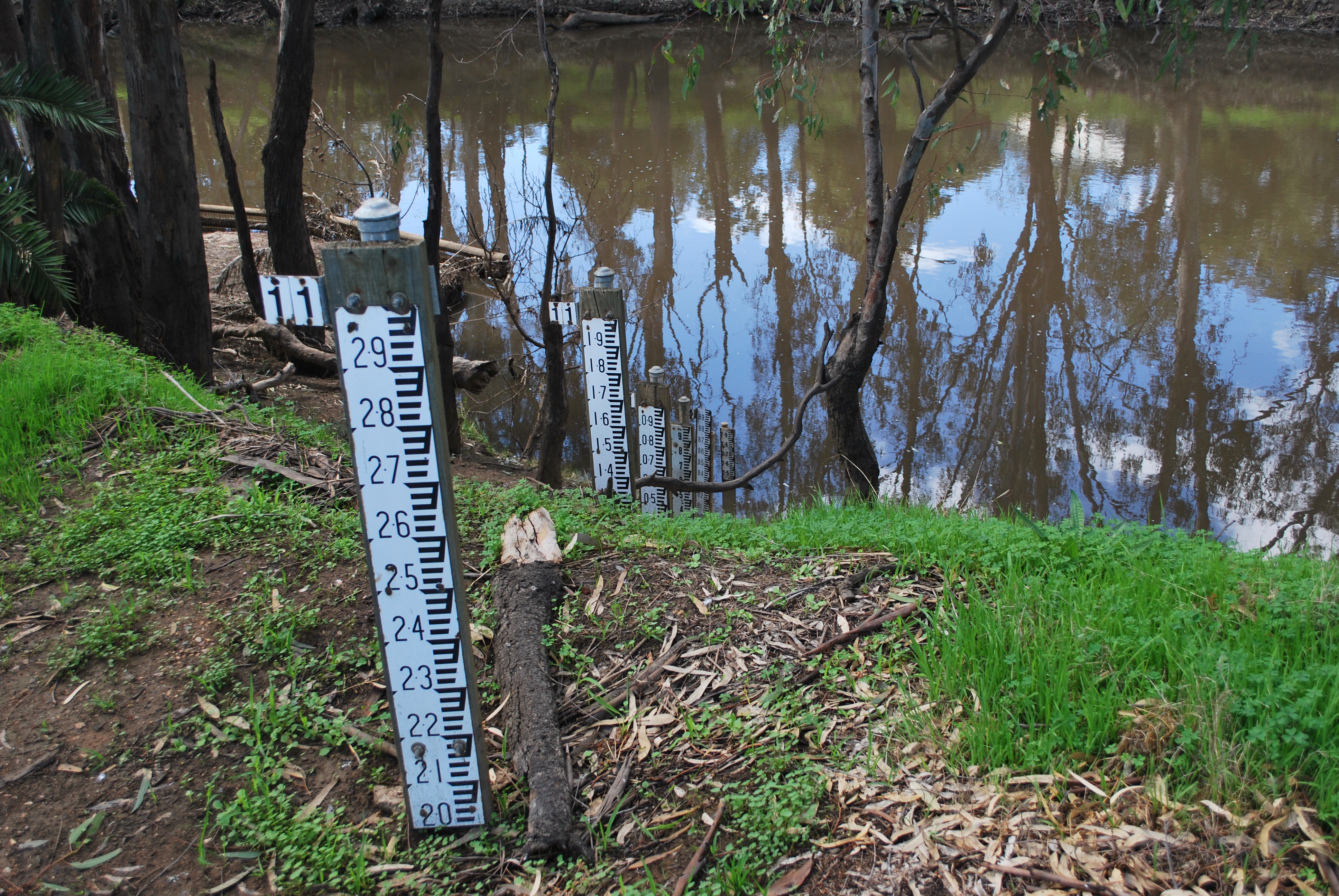 Historic flood level markers along the Campaspe River in Rochester, Victoria